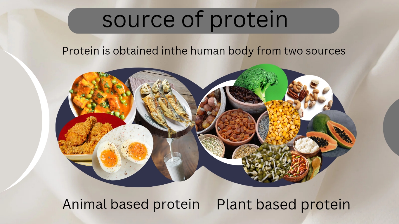 Source of protein