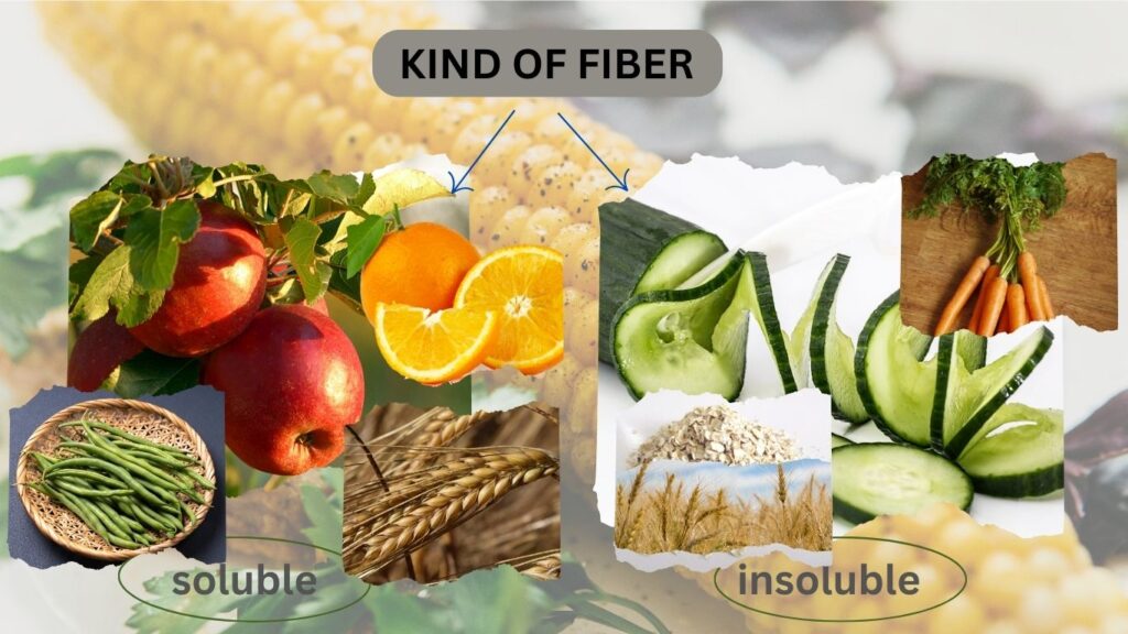 kinds of fiber