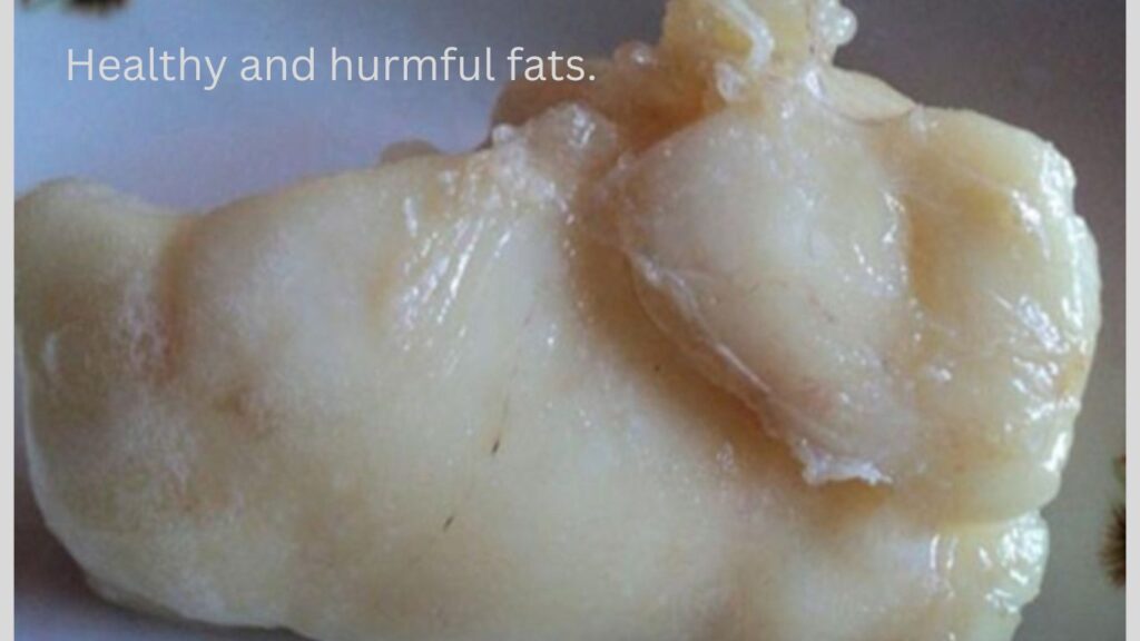 Healthy and hurmful fats.