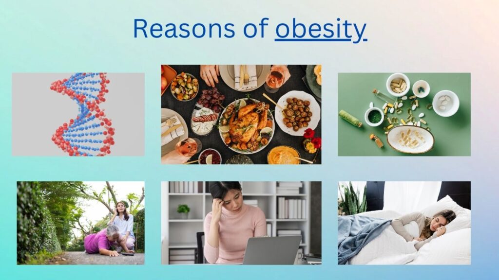 Top 10 reason of obesity