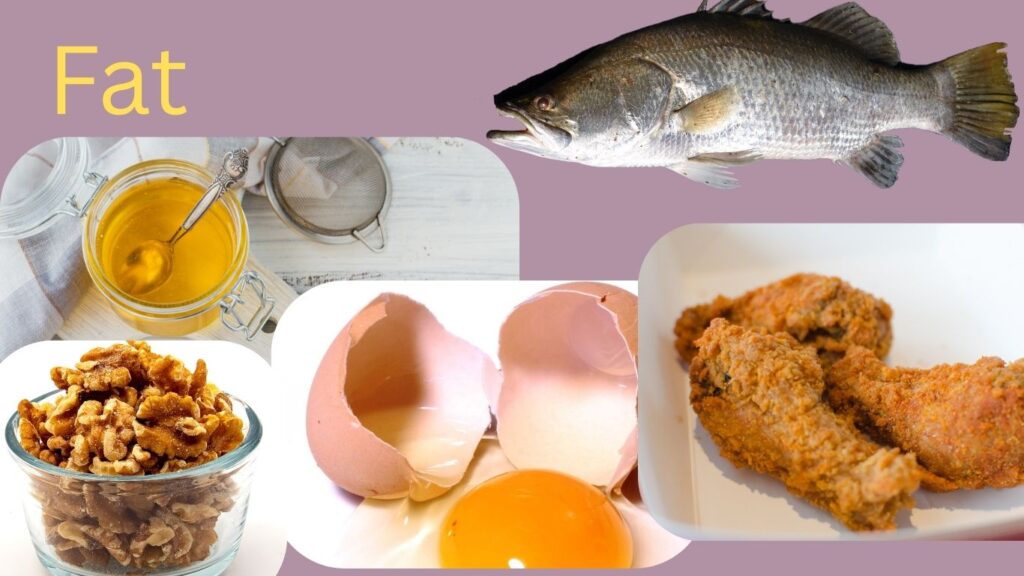 Apicture by best 6 point of including Daily diet for healthy life. in healthy fats
