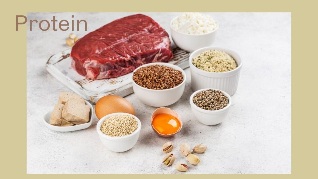 Apicture by kinds of protein in daily diet.