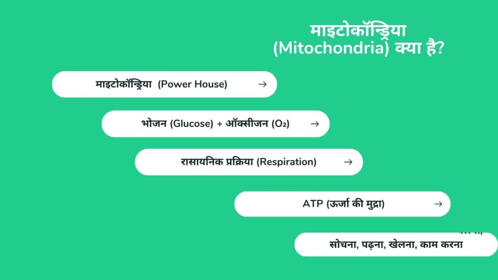A picture by Mitochondria activities.